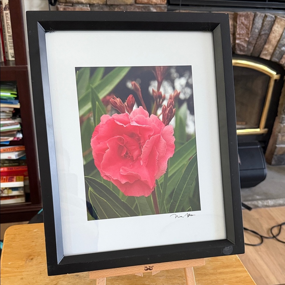 Framed Floral Photo with Black Frame